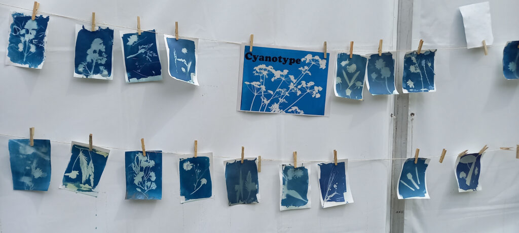 L'animation cyanotype du Lycée Rompsay de La Rochelle